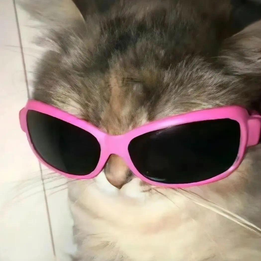 fk🥠🏅（见过skz版）