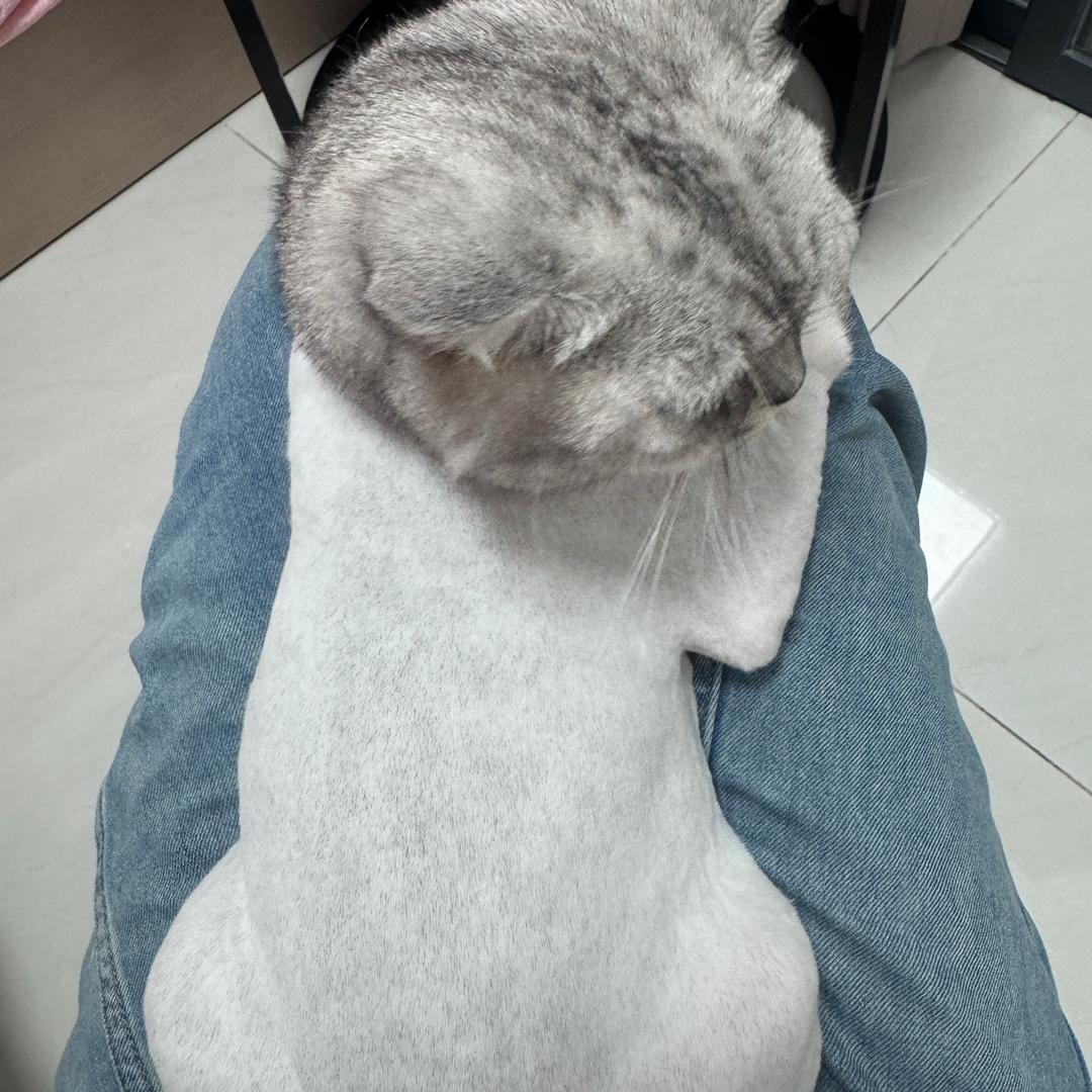 王者归来之我在抖音做实事