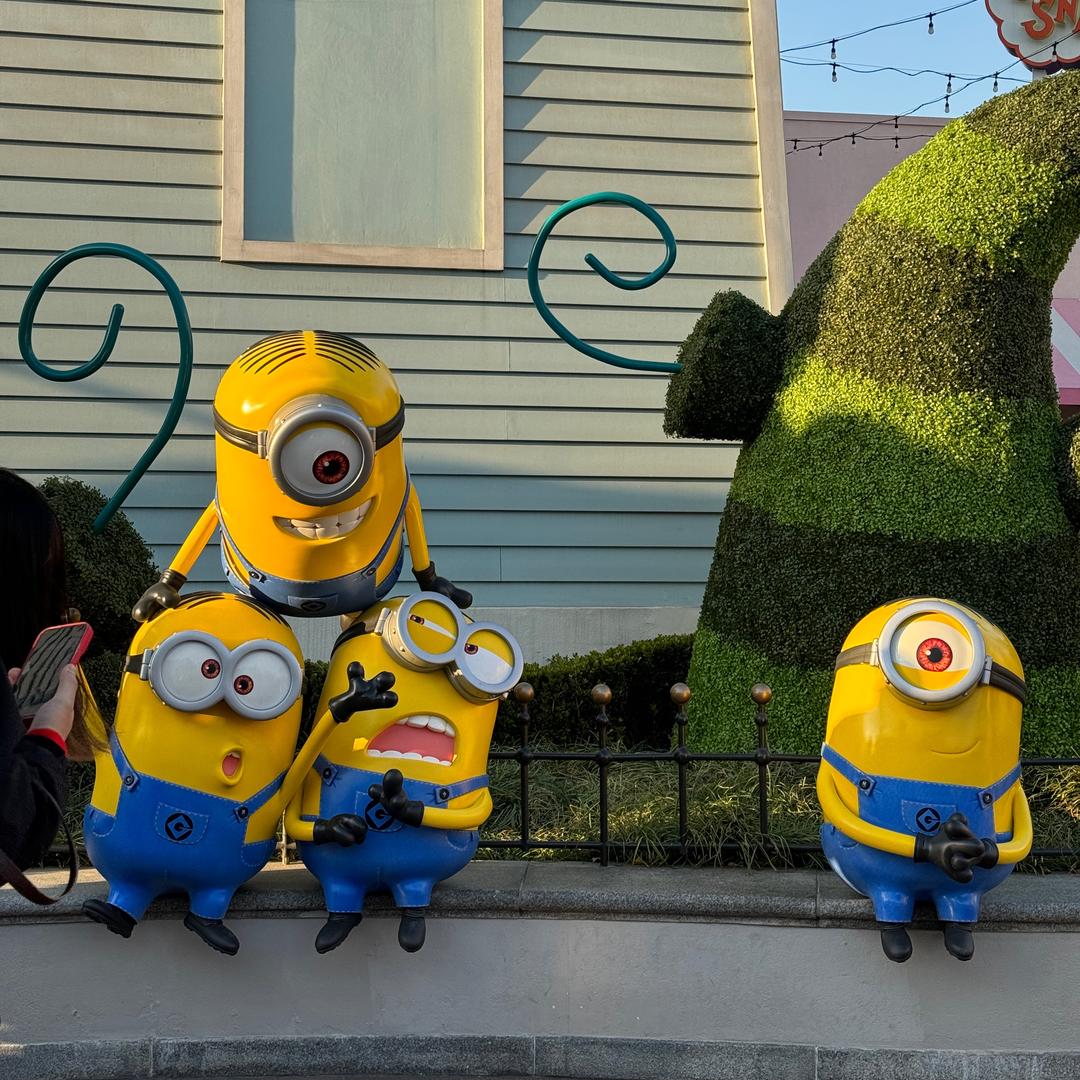 馋猫—好物推荐