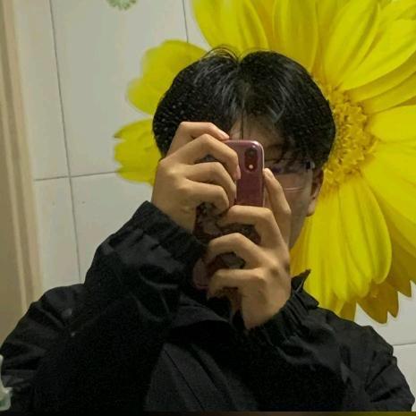 盛开的的紫罗兰