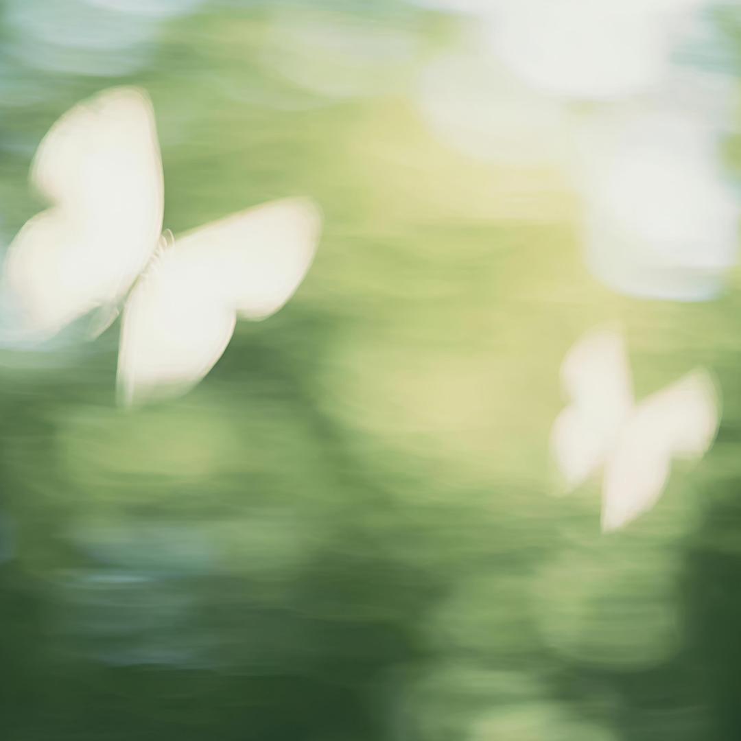 耶 •̀ᴗ-