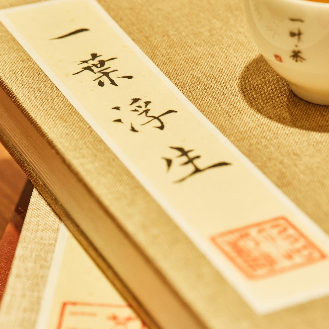 一叶浮生