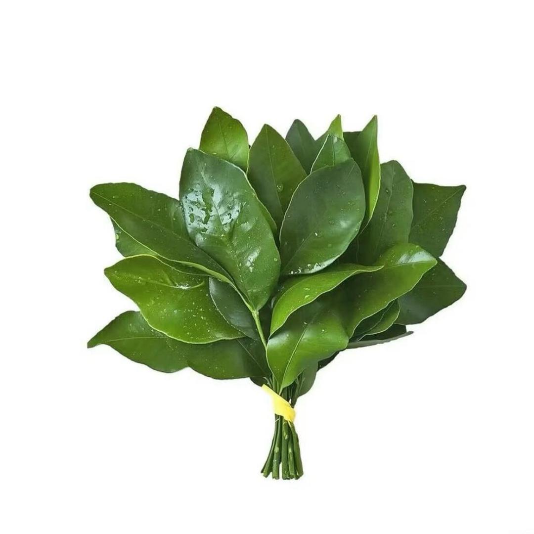 生煎包