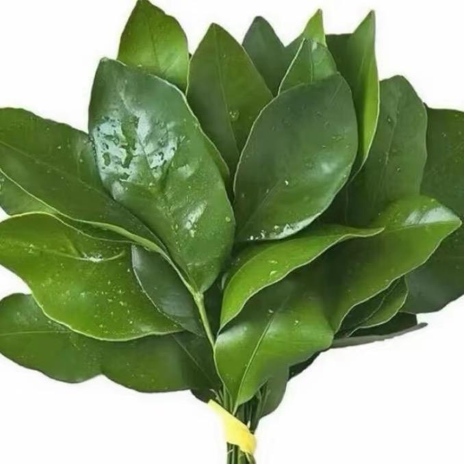 向暖