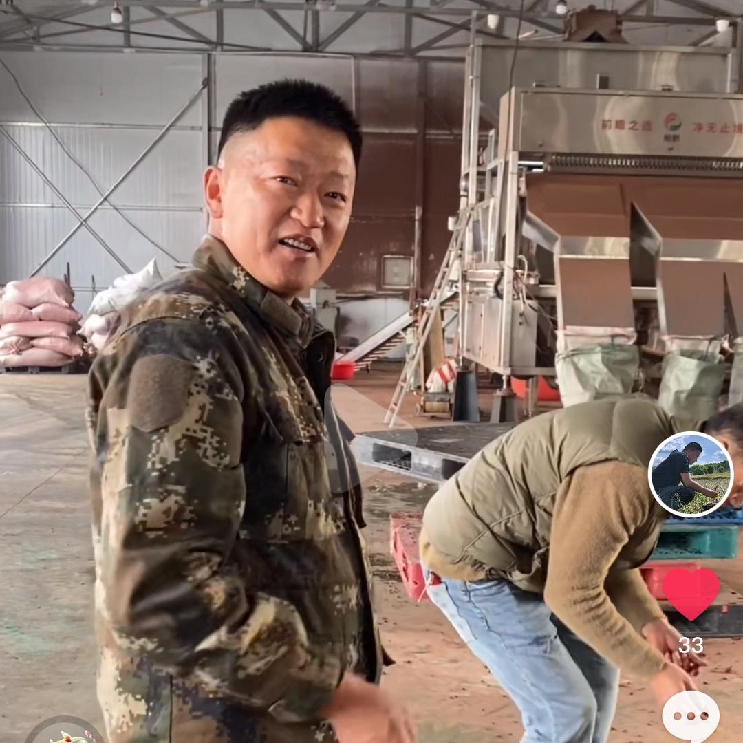 (划拉张）北五味子老金坤福