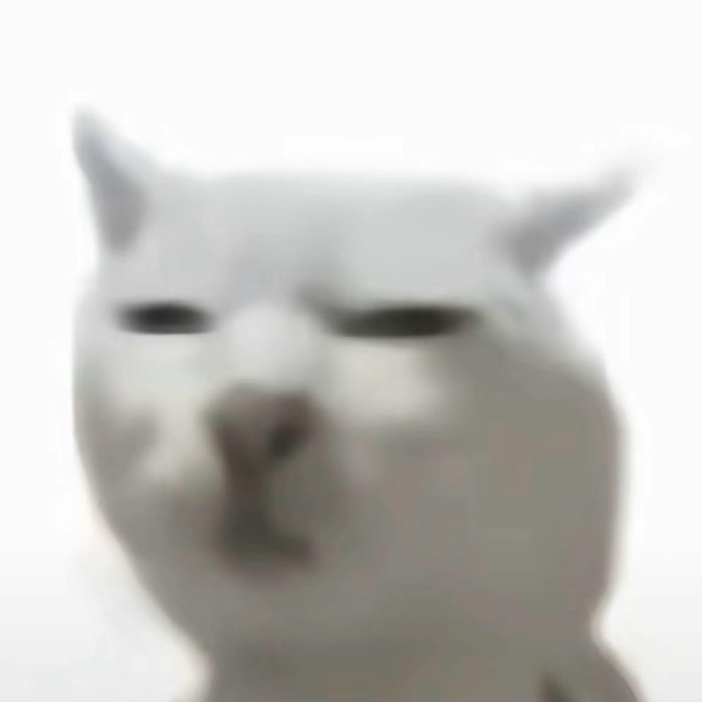 山东黑玫瑰