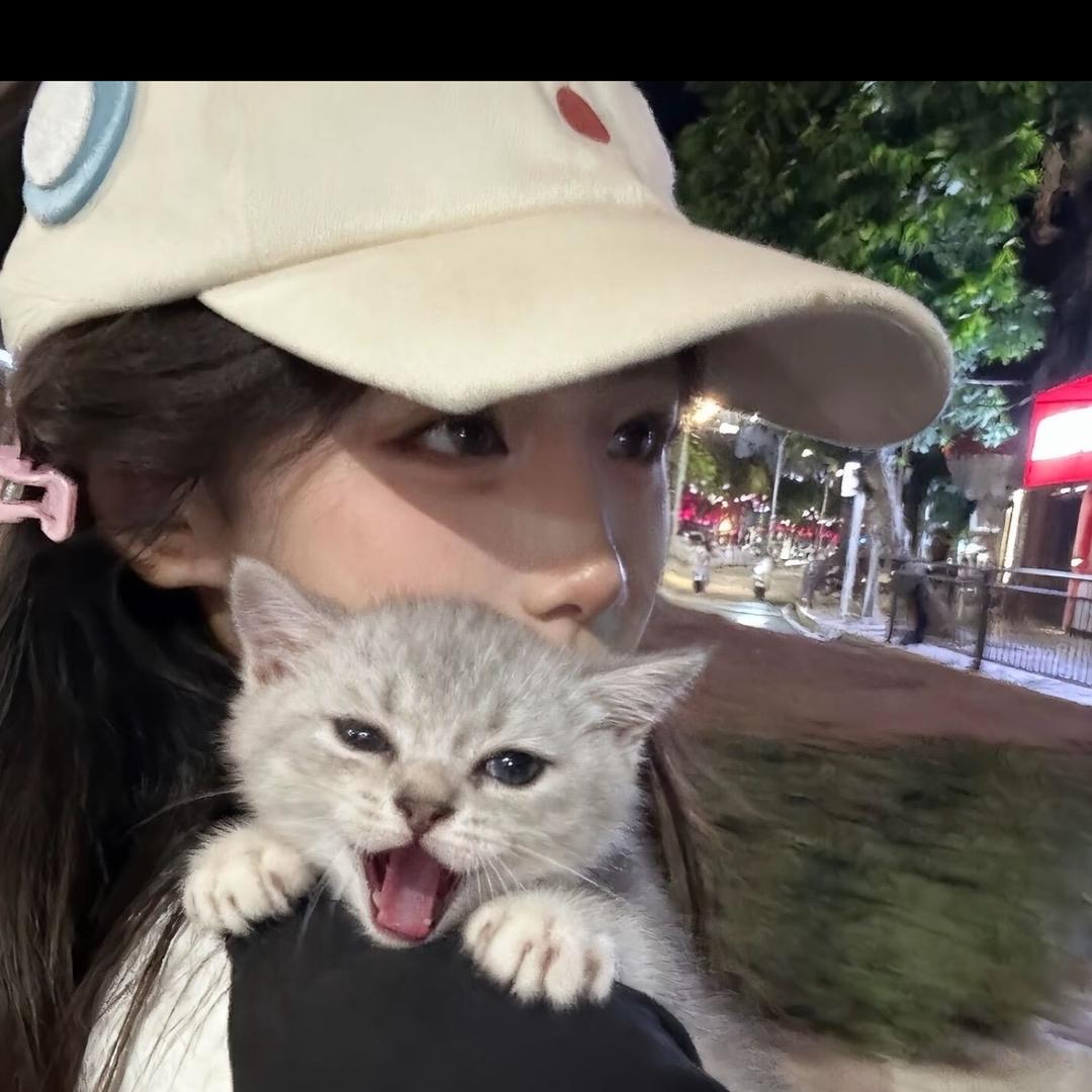 比奇堡椰椰