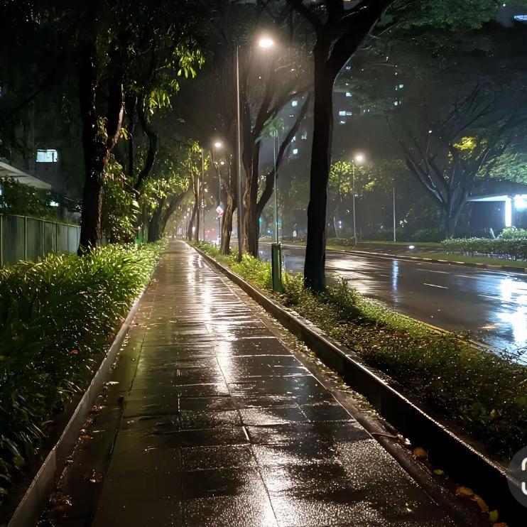 别叫我没票〖有票也不给你〗