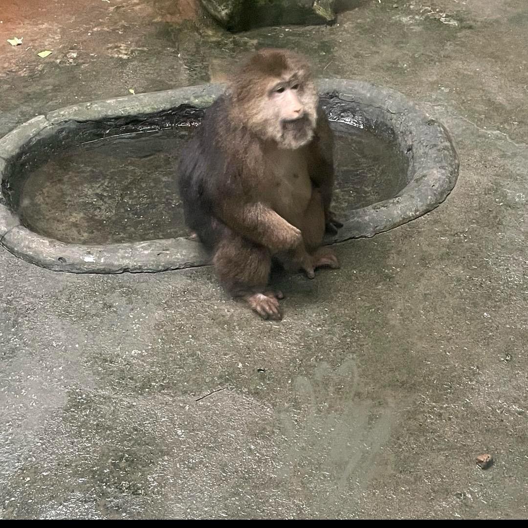 双重防护