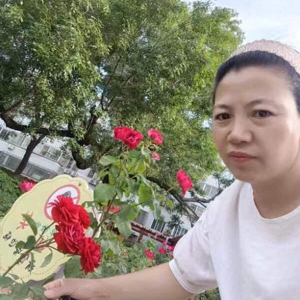 菊姐(橱窗有好物)