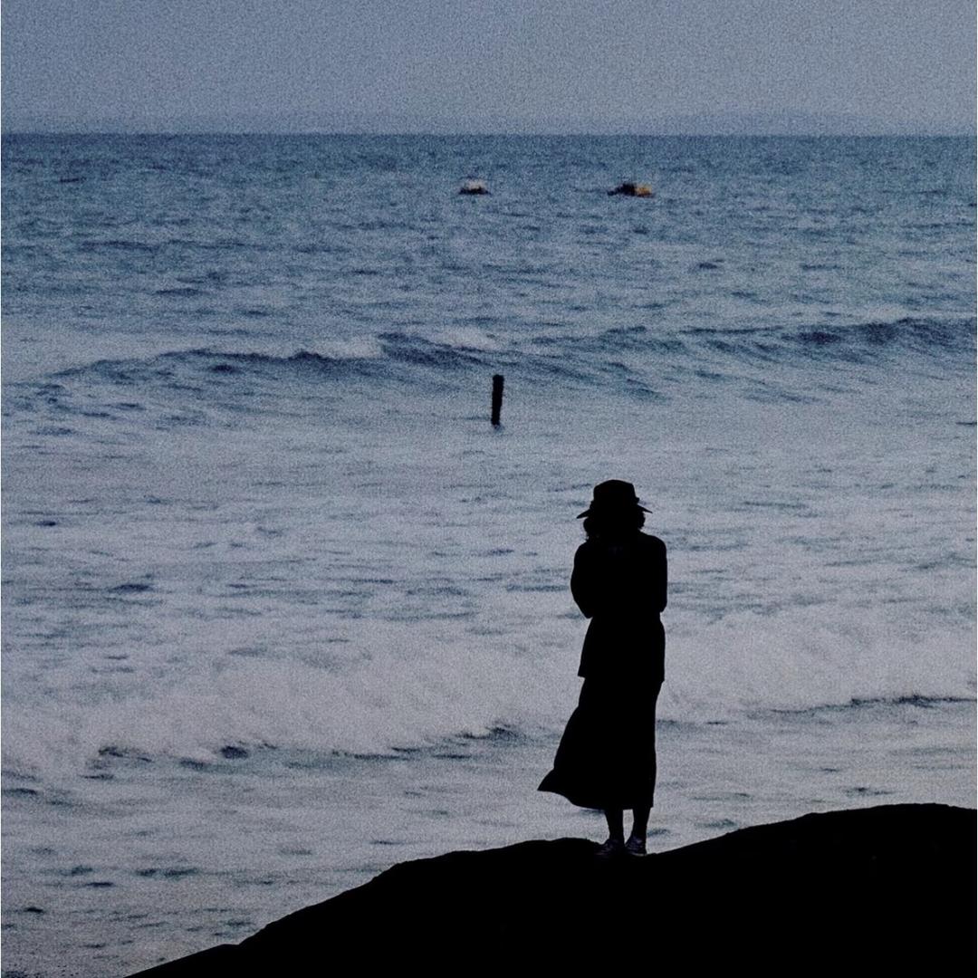 小杨在路上🚗（网约车版）