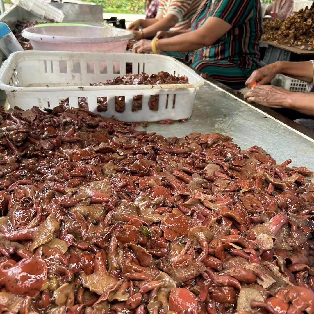 云南红乳牛肝菌