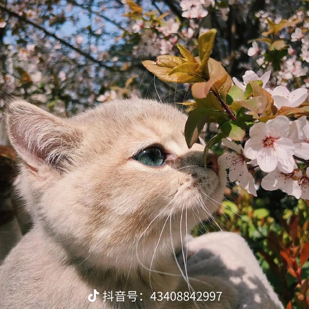 🌞🌞阳光灿烂