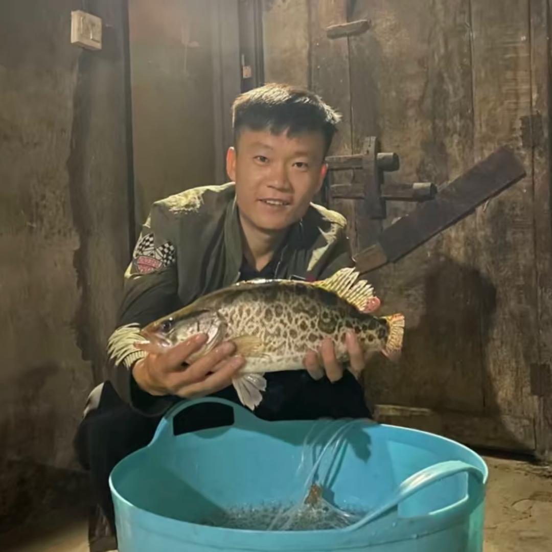 山农小林