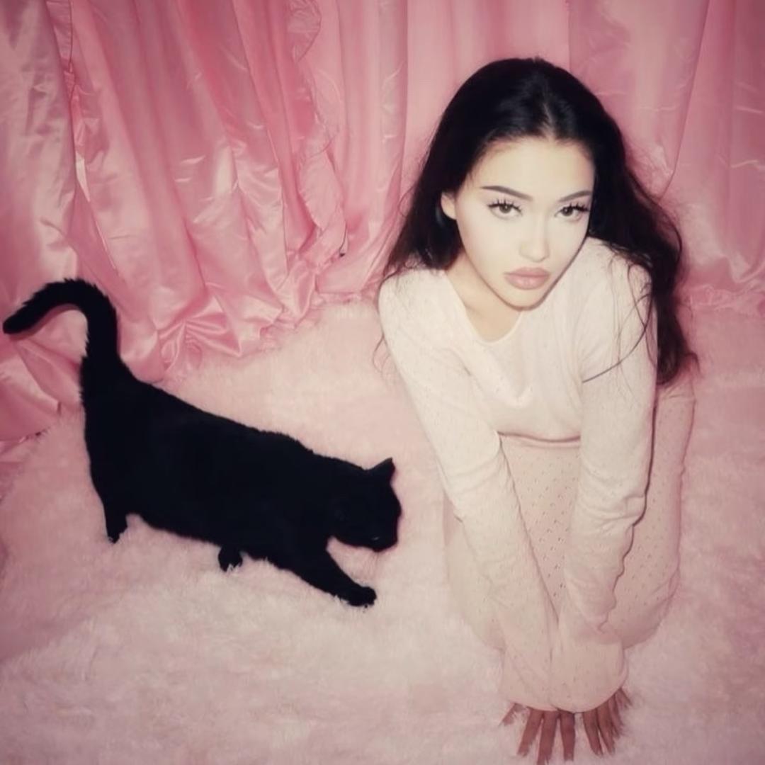 詹詹詹轩-