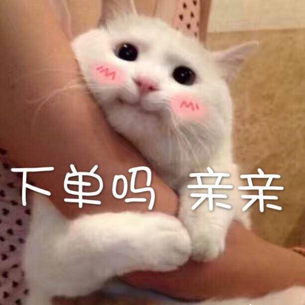追乐yue