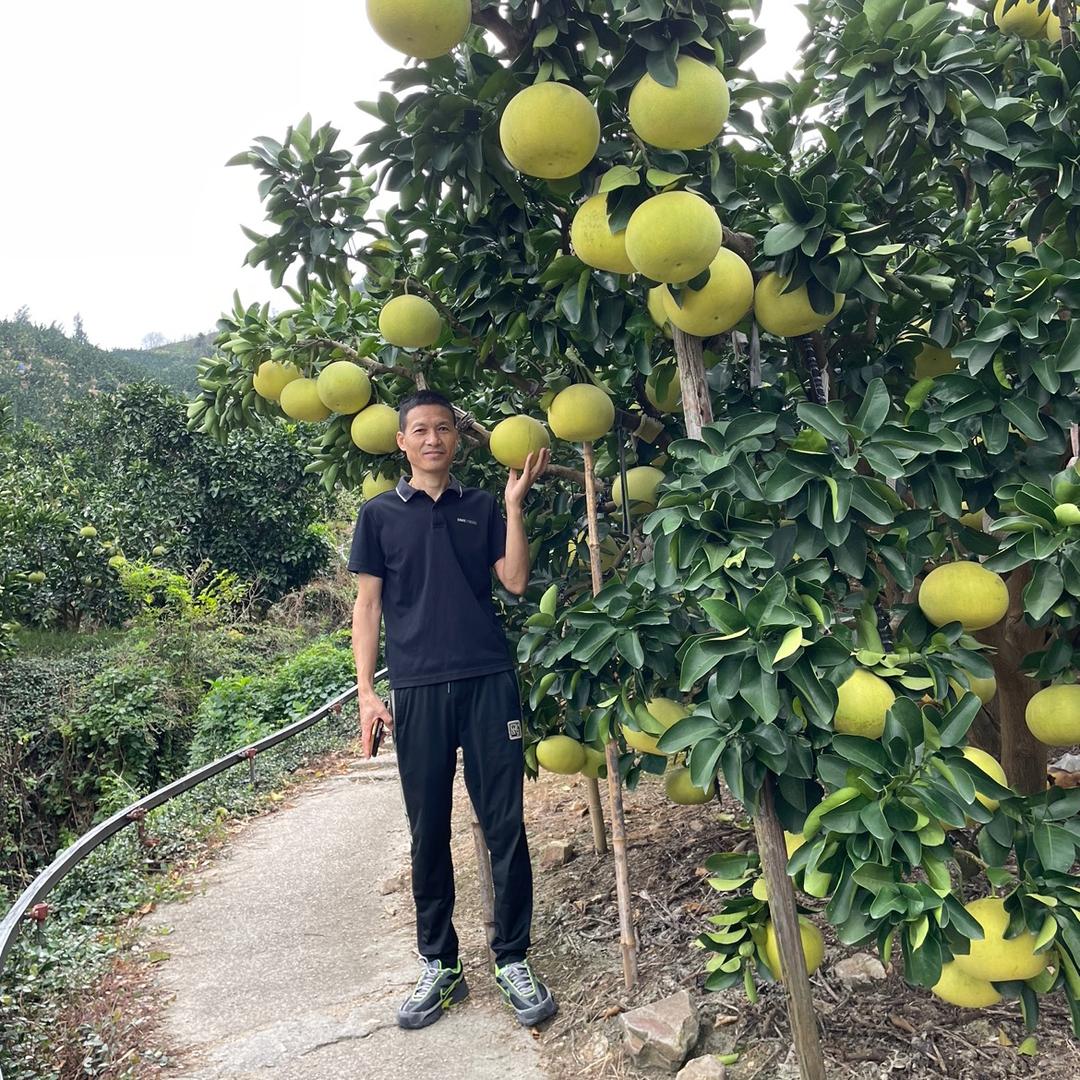 玉环颜选家庭农场