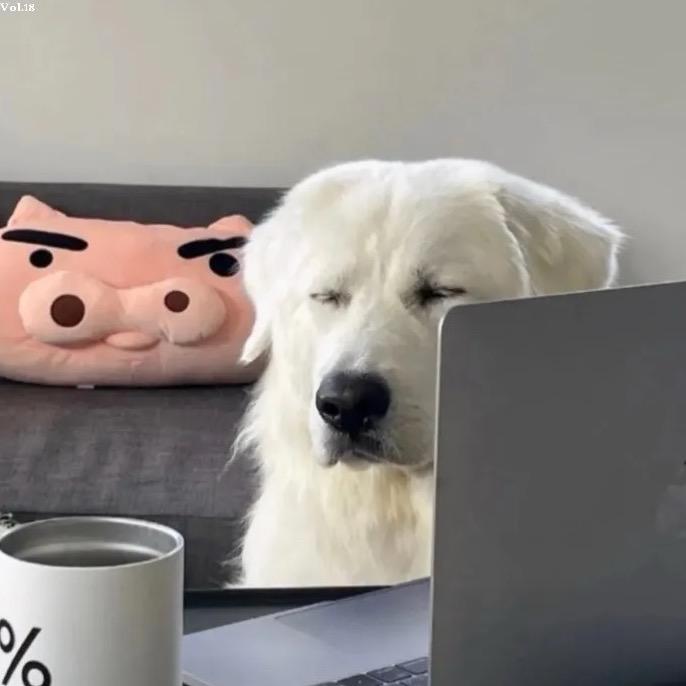 每天都好困Z☡zᶻ