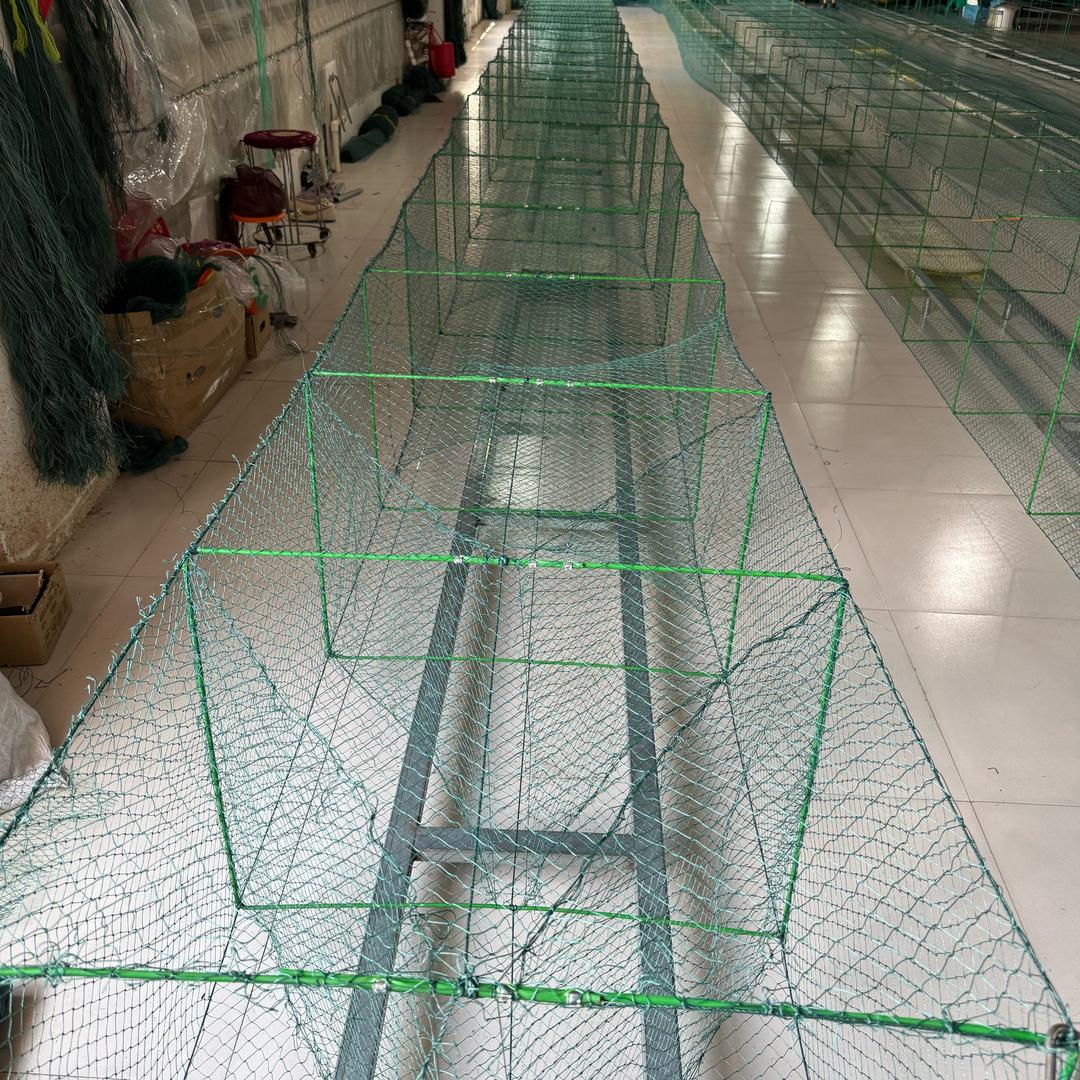 地笼大眼有结网