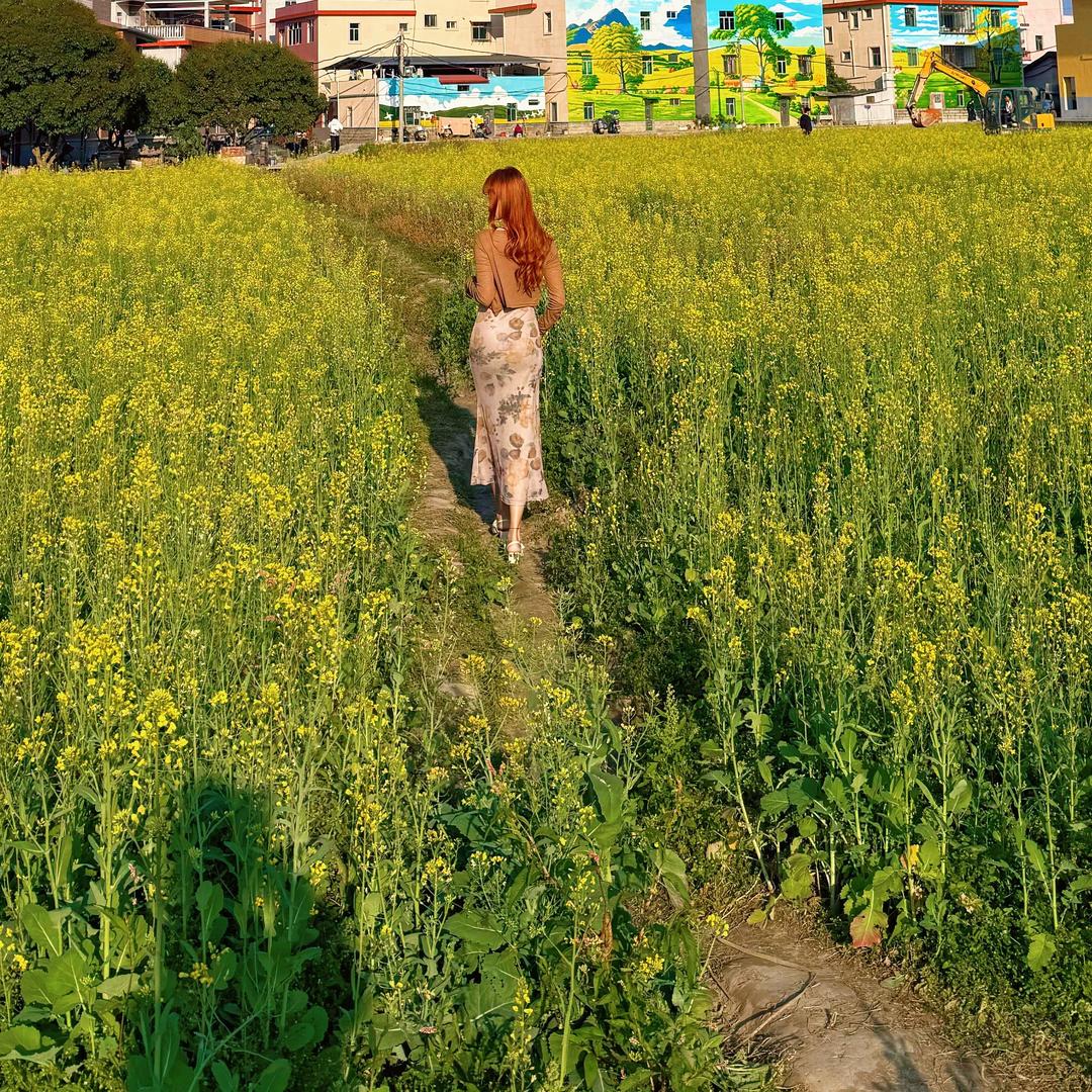 叁柒