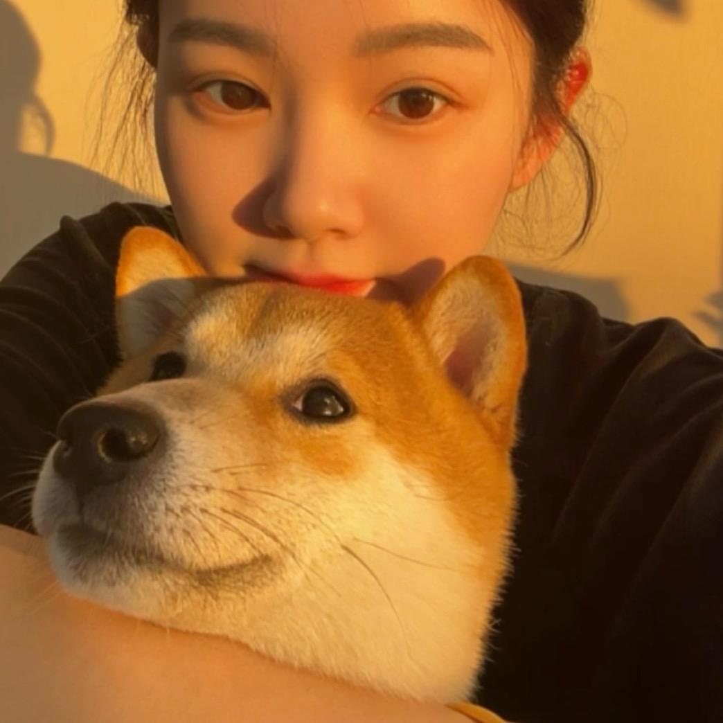丹丹