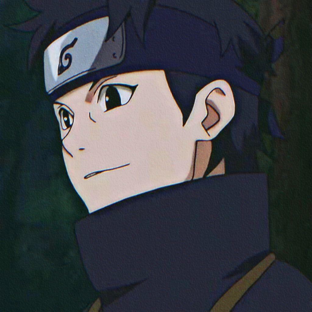 巴呆