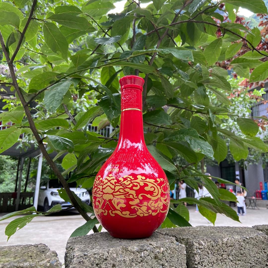 芙蕖映月