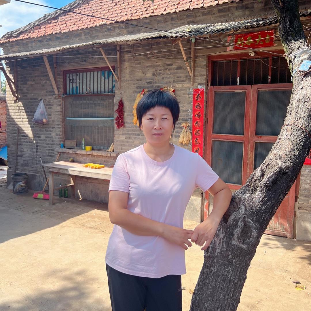 编导四婶