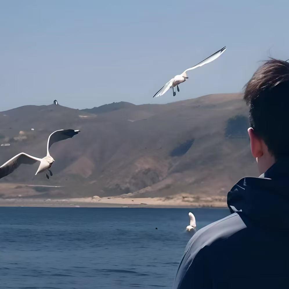 爱溜达的豆芽儿