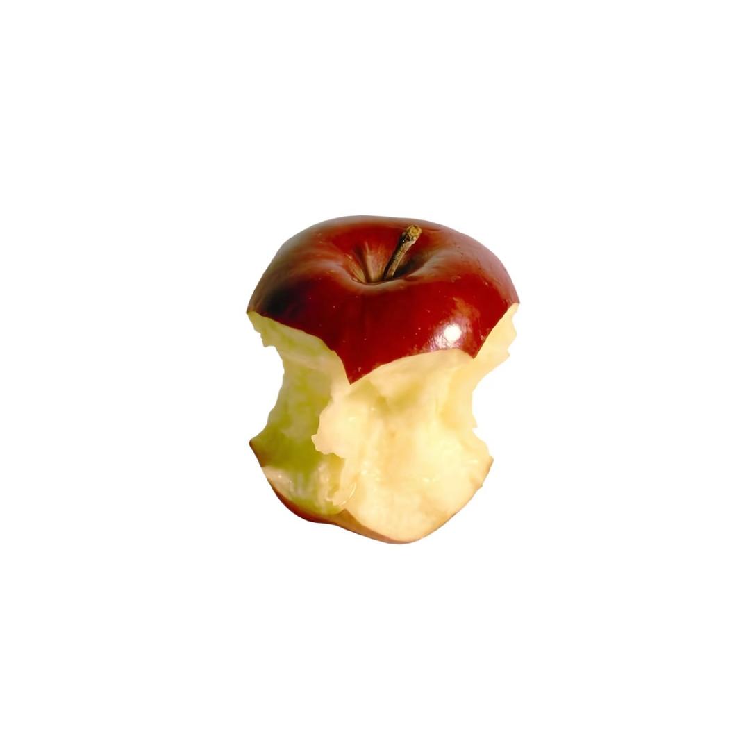 饱饱没有你我怎么活啊