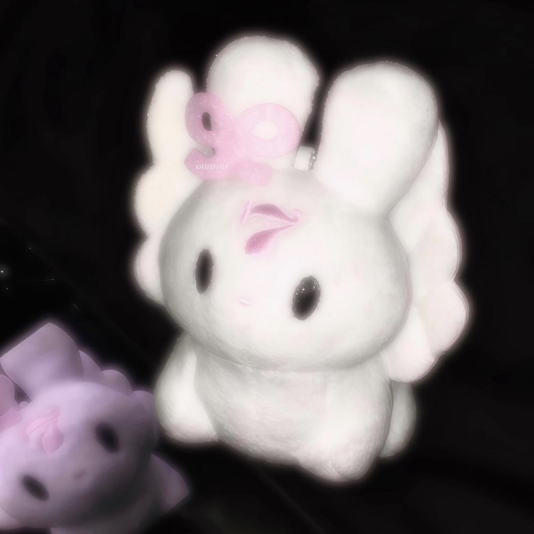 koii