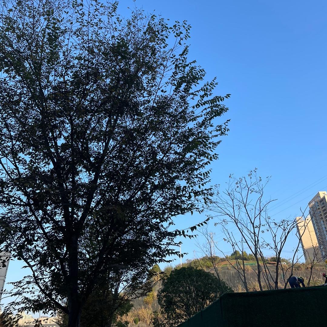 春天的信息