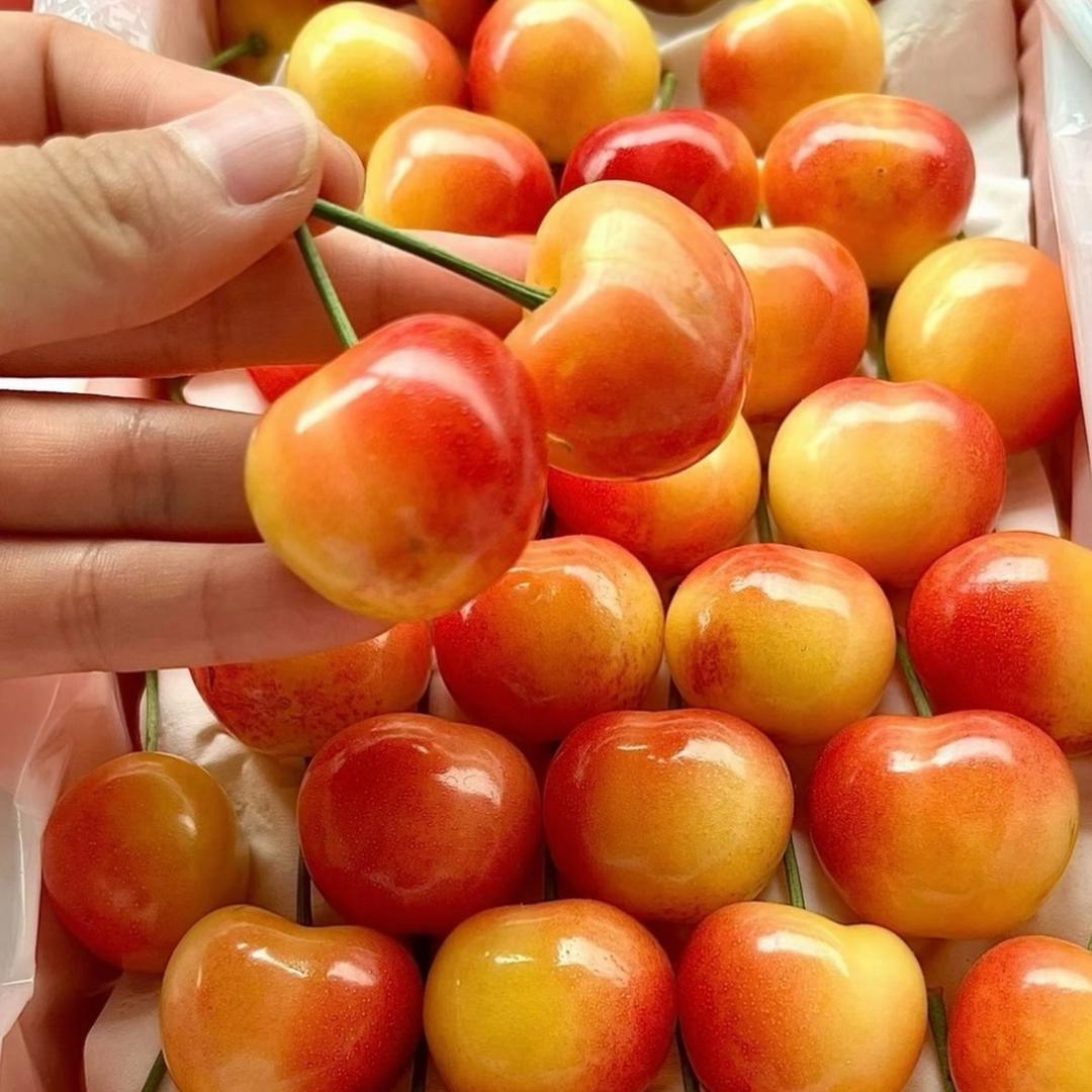 空运车厘子新鲜到货