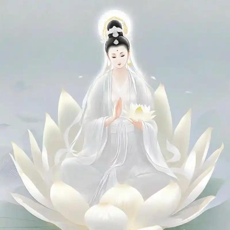 （观香）一点香缘