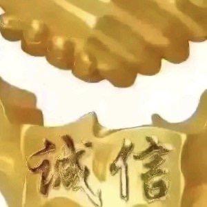 贵州柴虫画眉鸟食