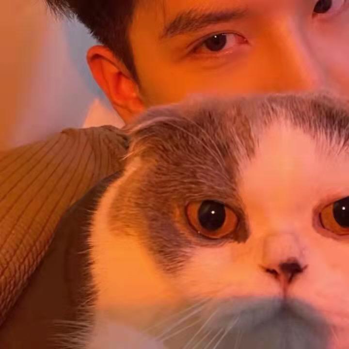 雪碧
