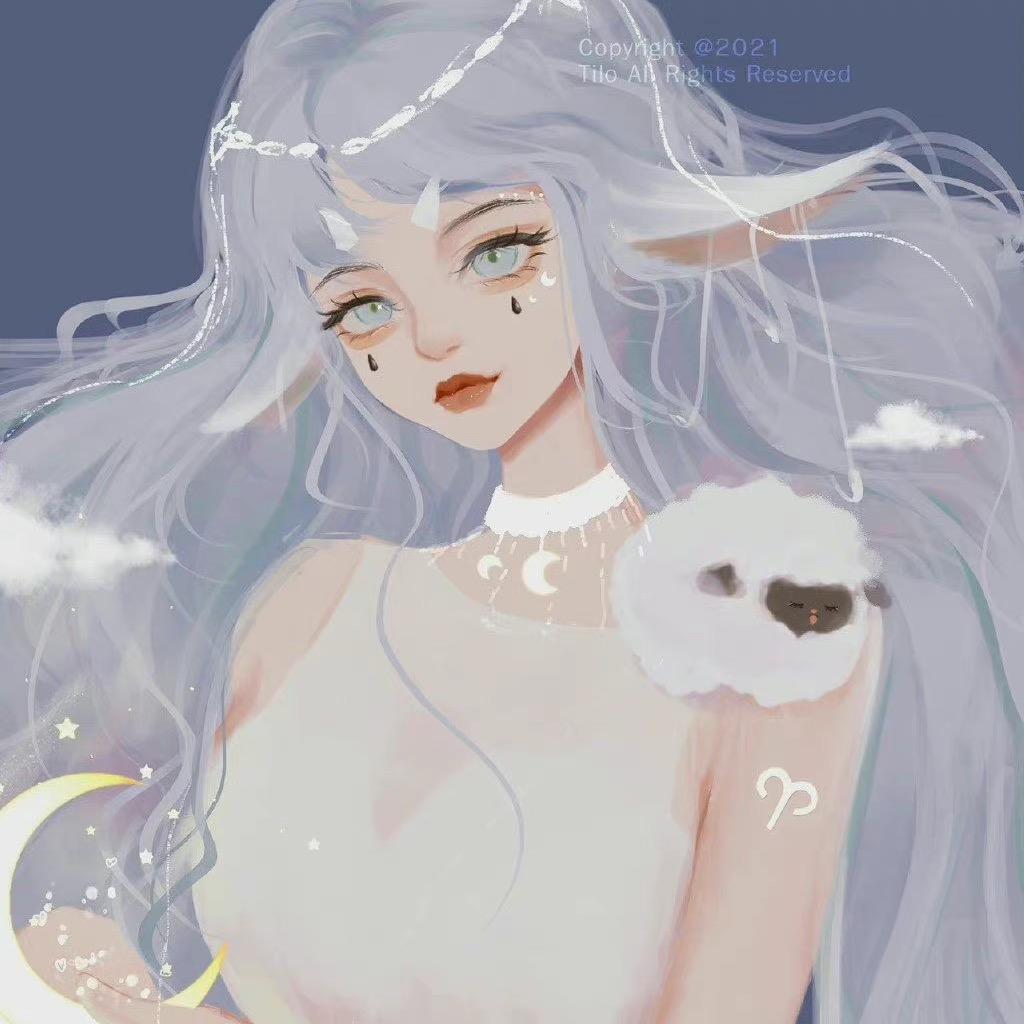 樊宝宝