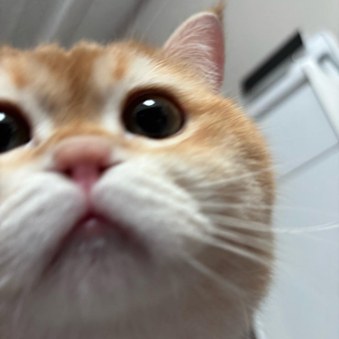 艾尘min