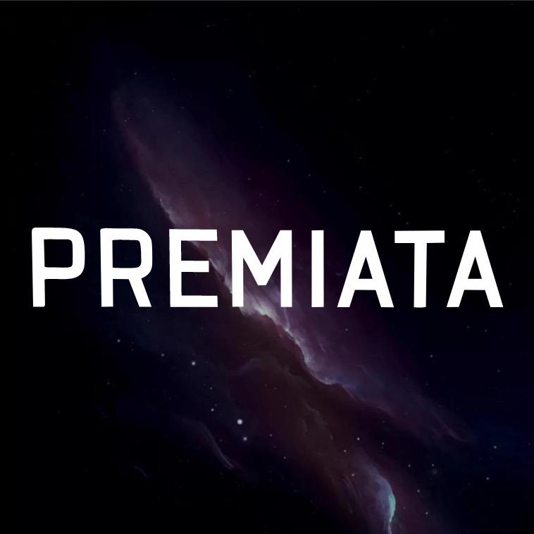 PREMIATA轻奢男鞋
