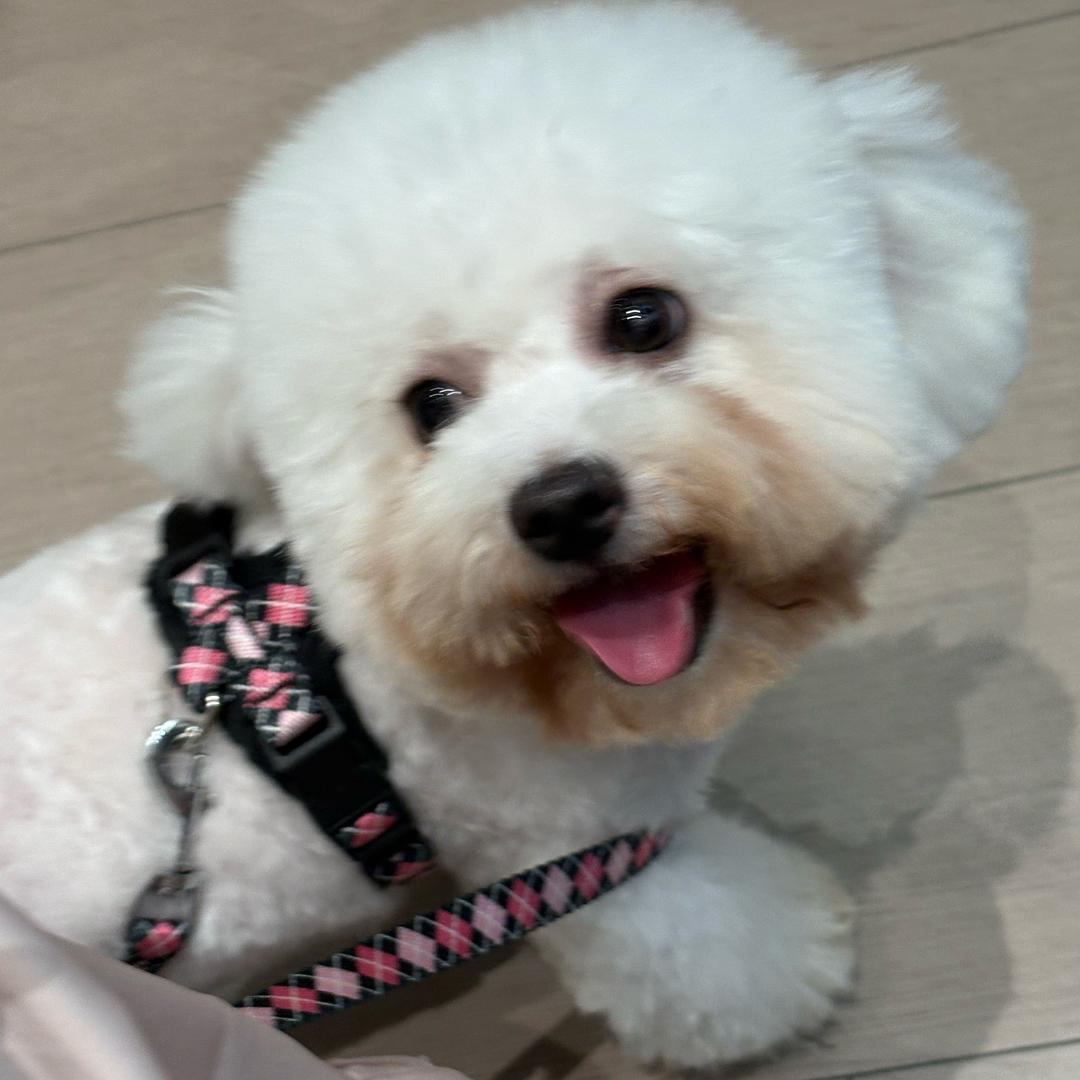 树懒懒