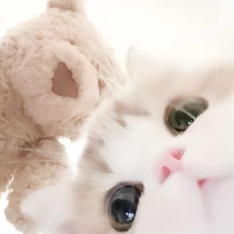开•͈ᴗ⁃͈★阿