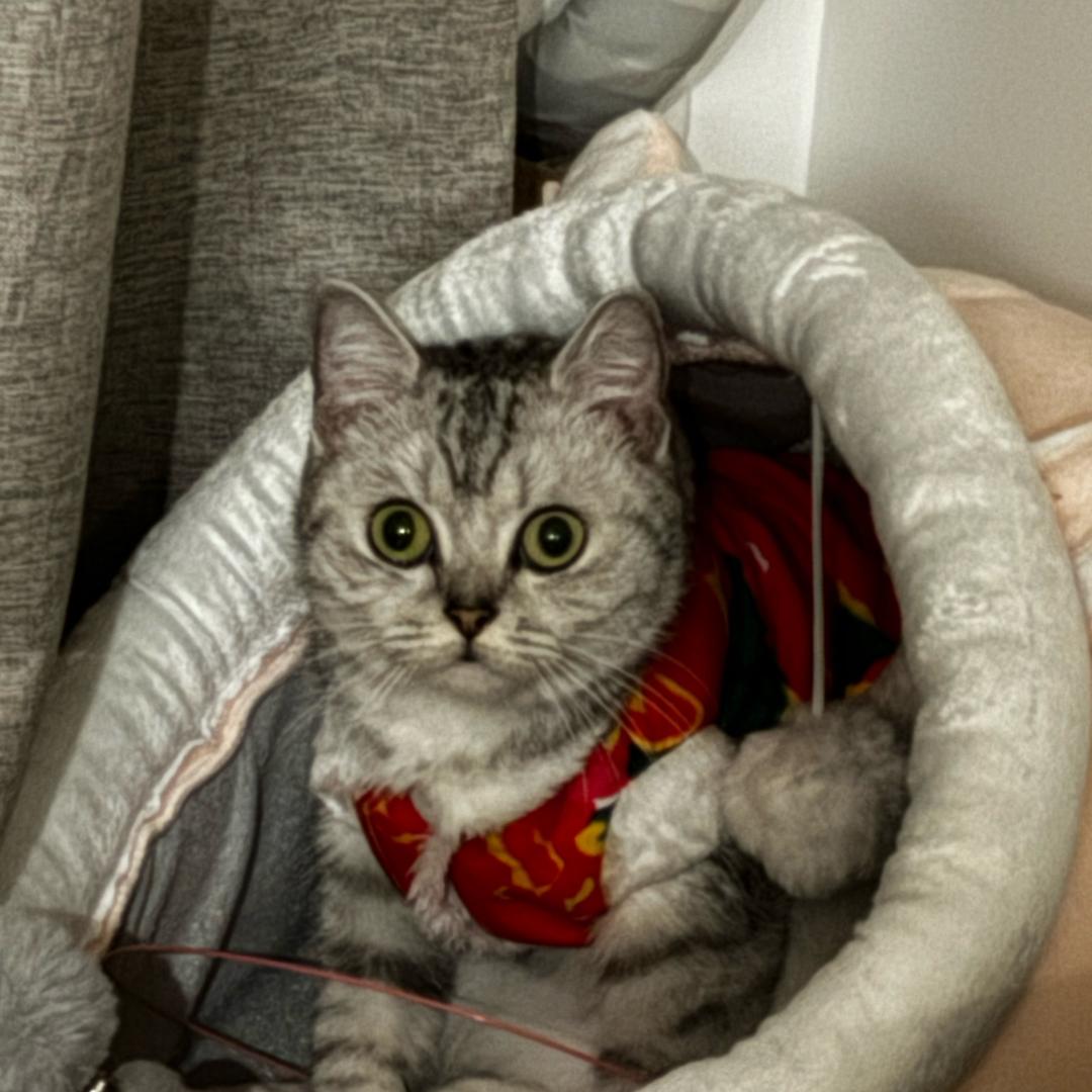 陈陈陈