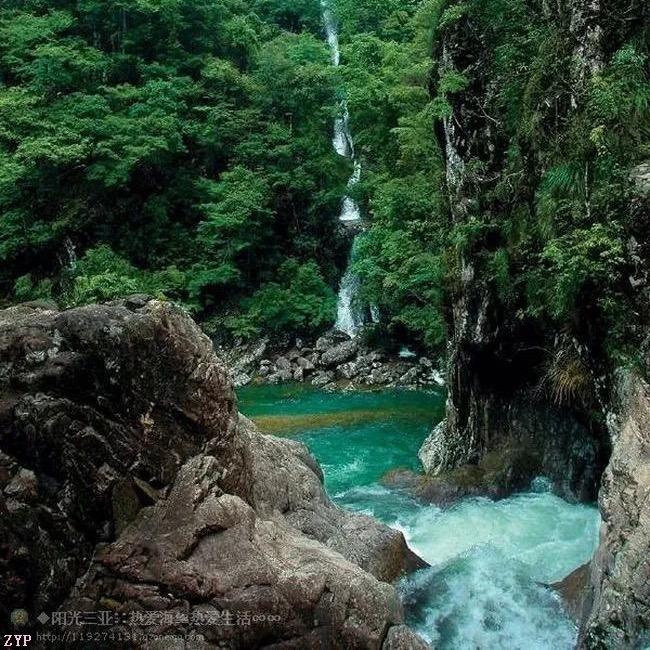 Wj 唱与歌