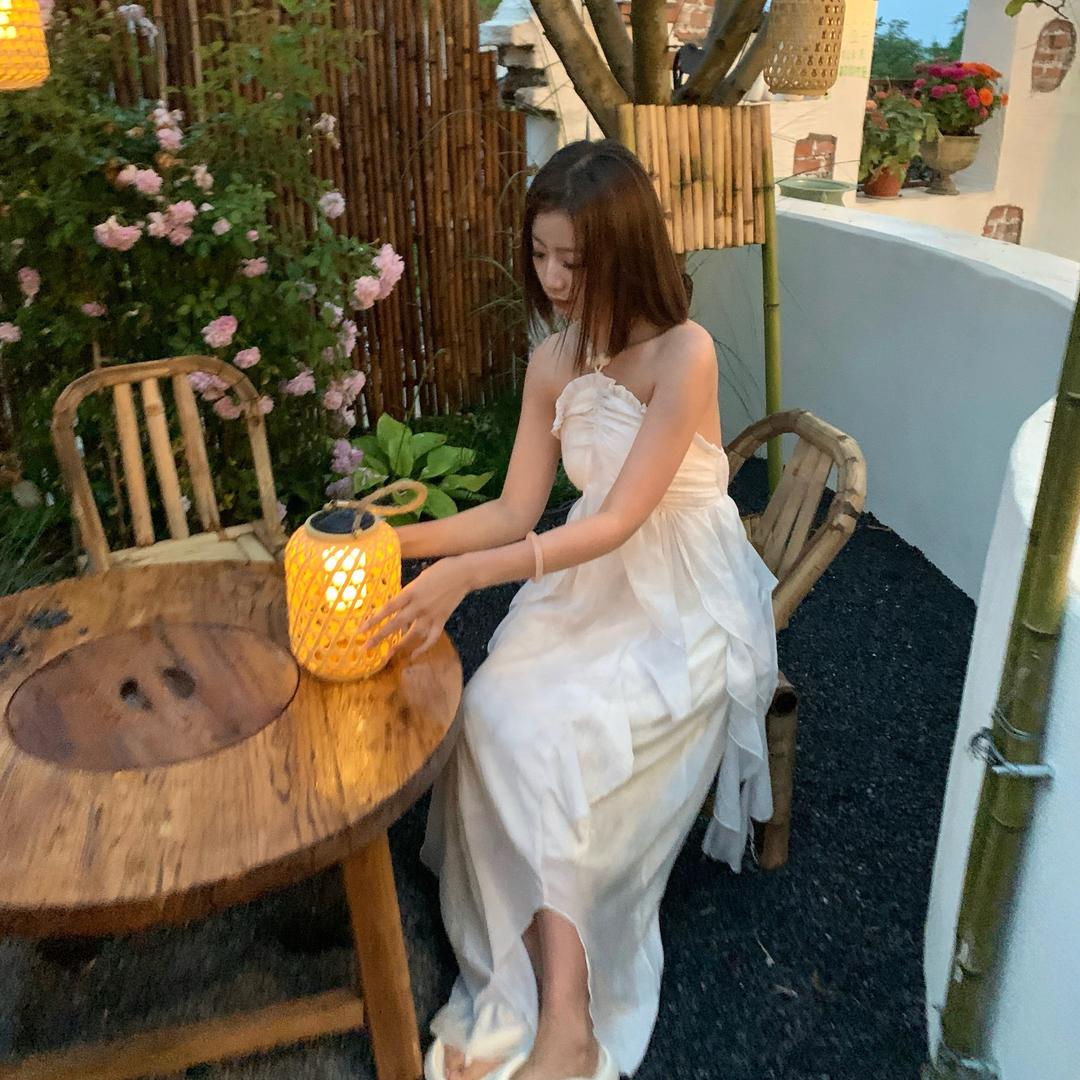小杨不吃香菜
