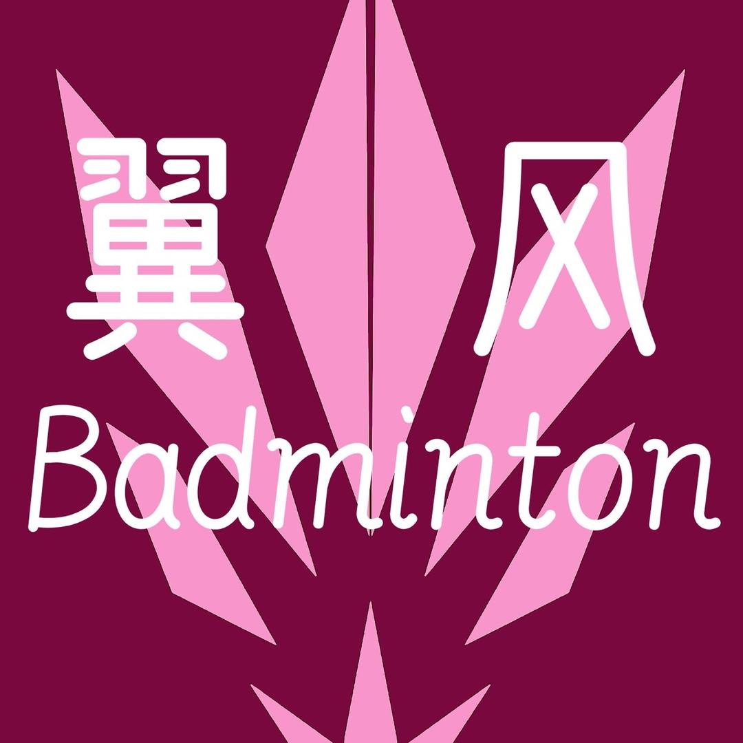 翼风羽毛球
