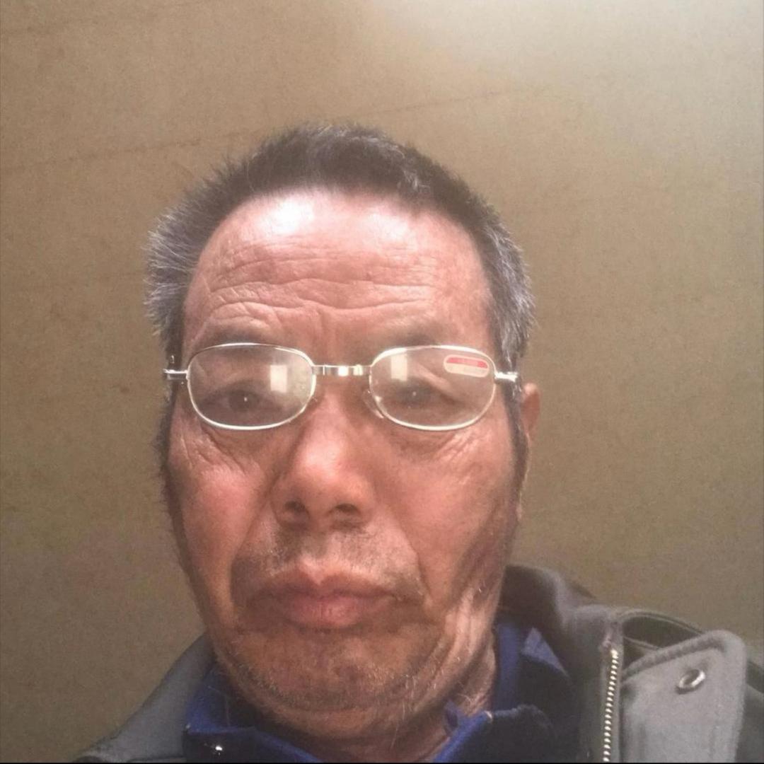 七崽