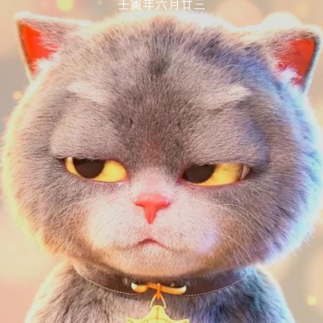 禹齐