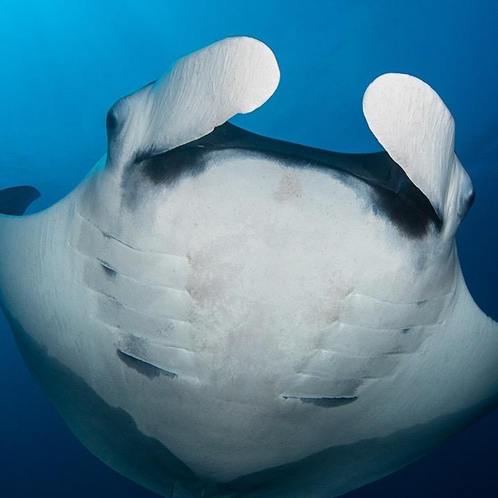赵小满🐋🐋