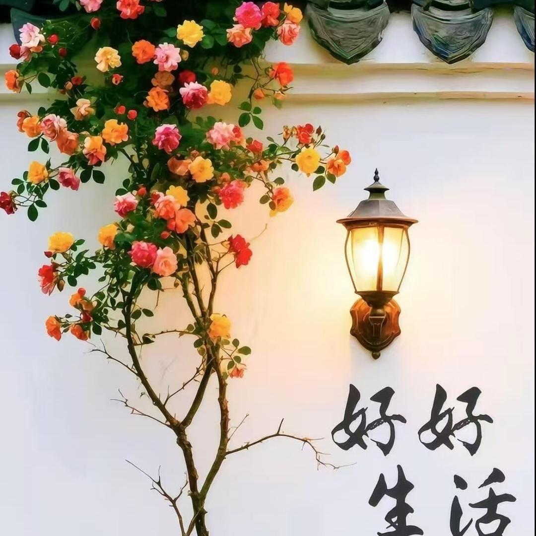 初夏💞