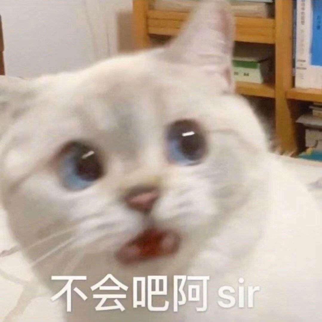 聪明庆庆